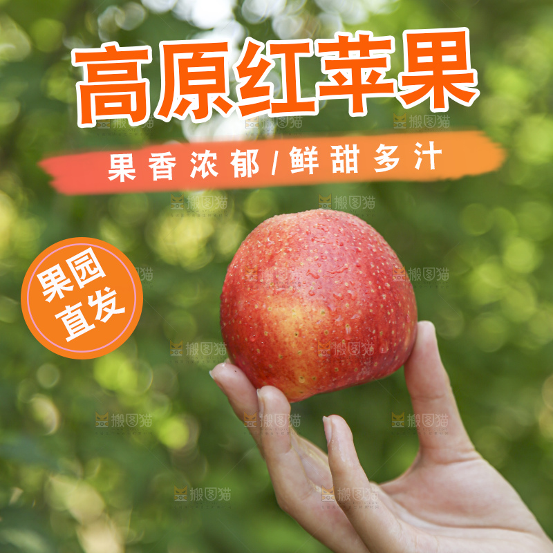 手里拿着高原红苹果