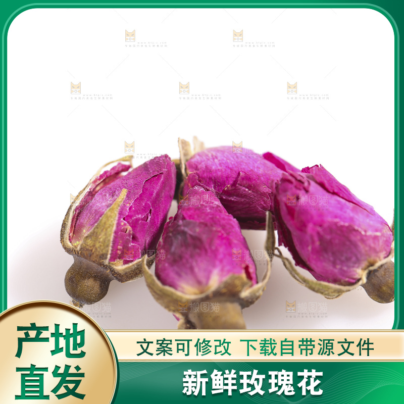 白底上的玫瑰花干