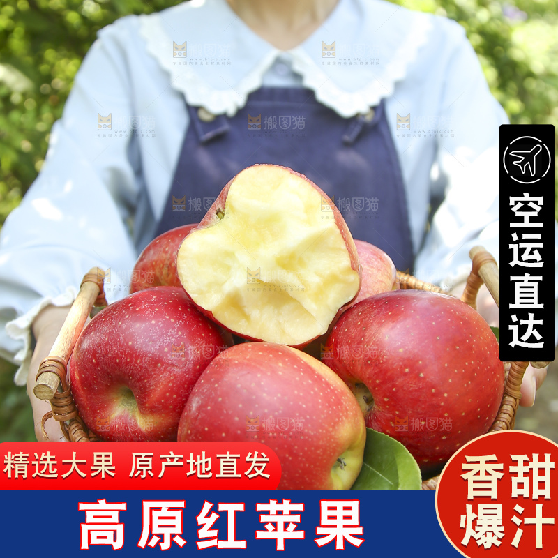 手里拿着高原红苹果