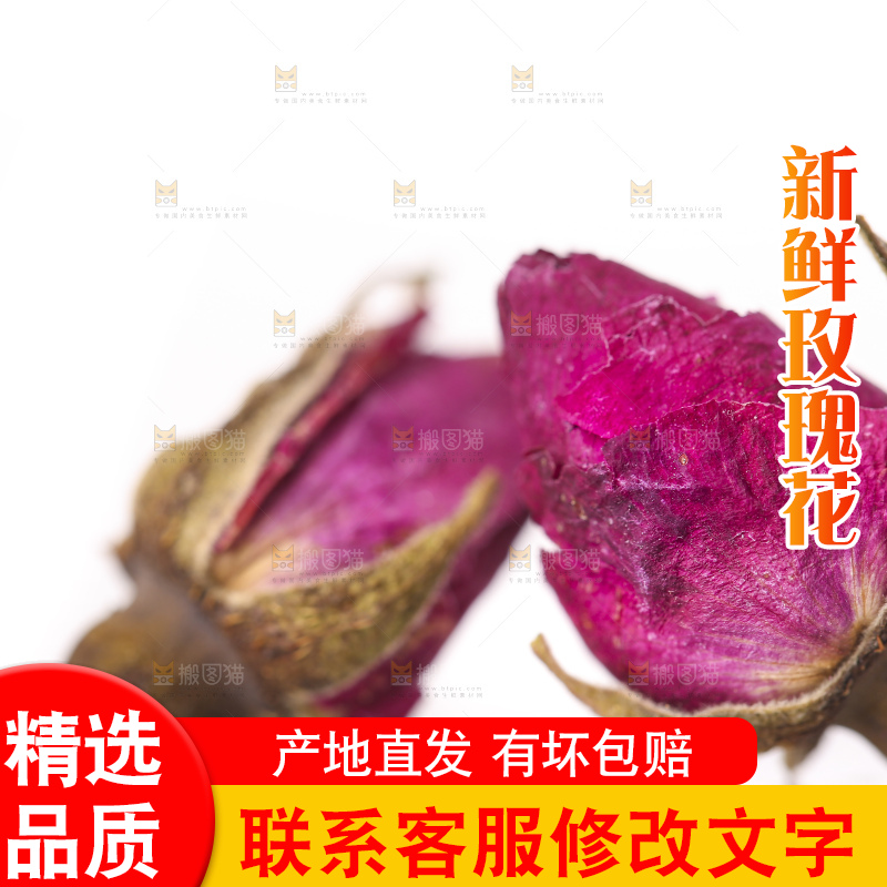 白底上的玫瑰花干