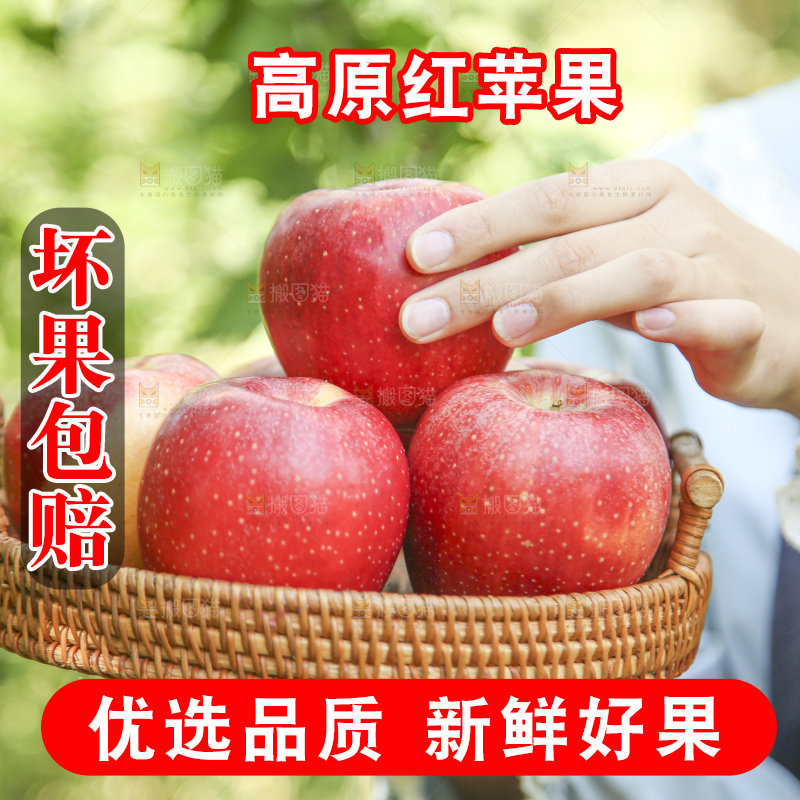 手里拿着高原红苹果