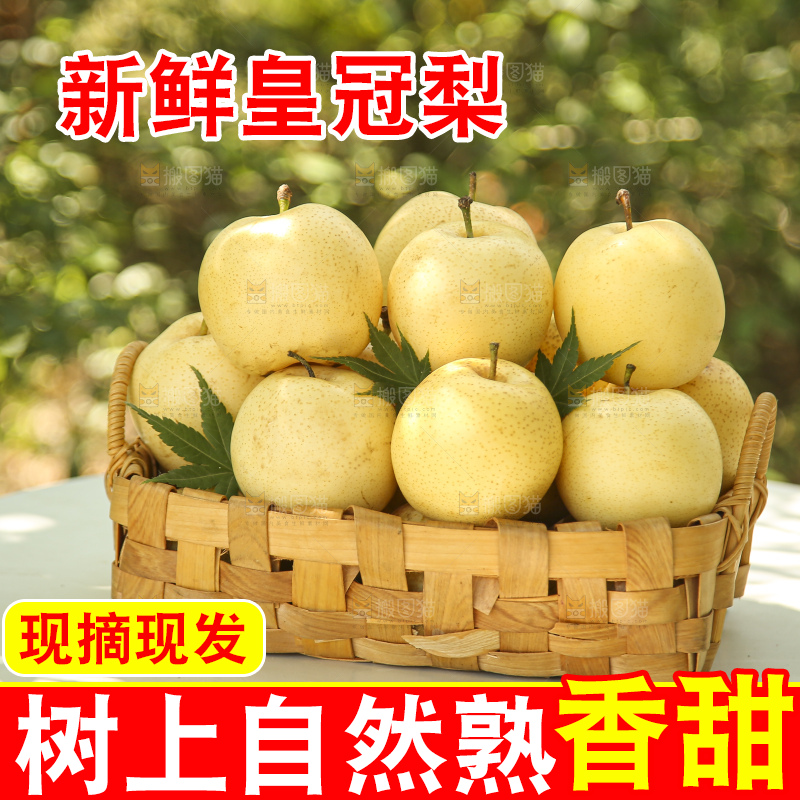 手里拿着新鲜皇冠梨