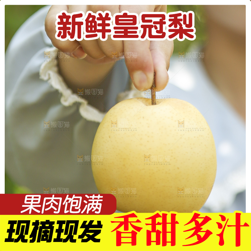 手里拿着新鲜皇冠梨