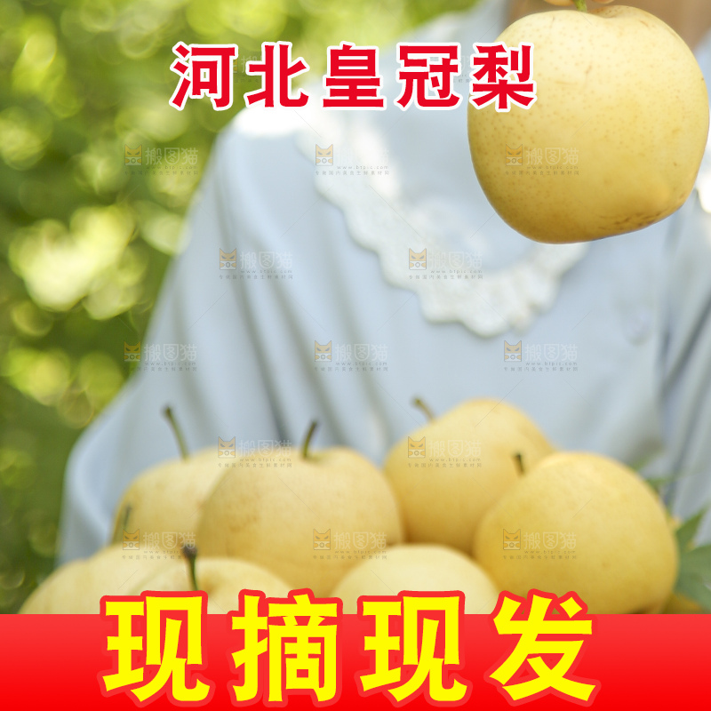 手里拿着新鲜皇冠梨