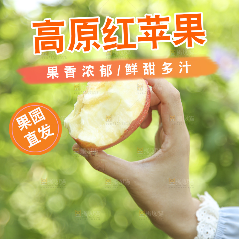 手里拿着高原红苹果