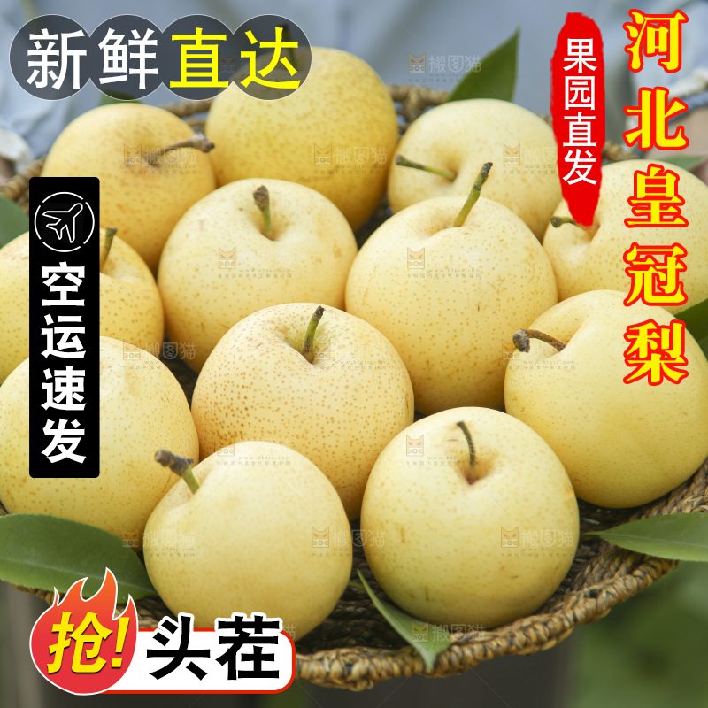 手里拿着新鲜皇冠梨