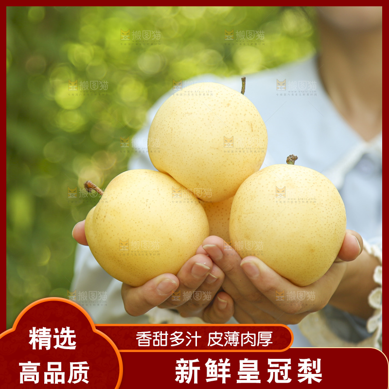 手里拿着新鲜皇冠梨