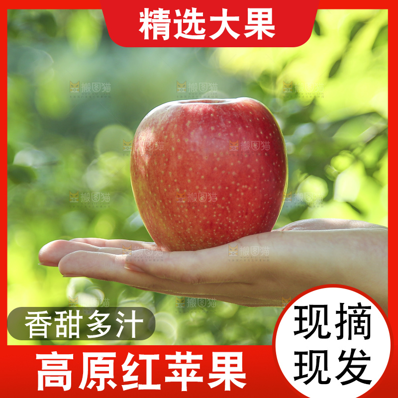 手里拿着高原红苹果