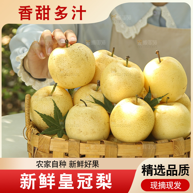 手里拿着新鲜皇冠梨