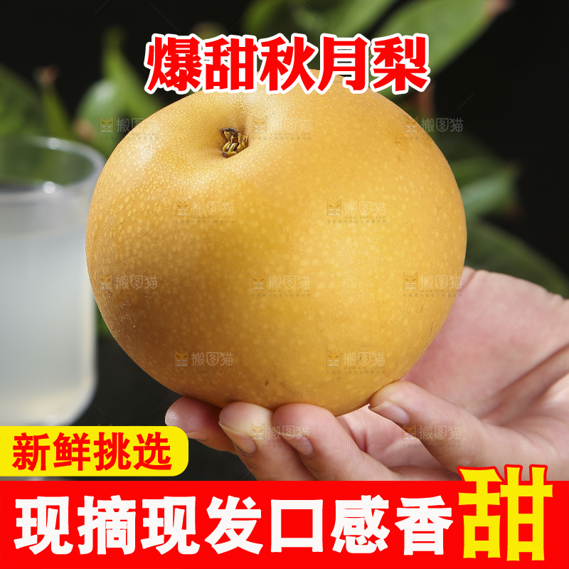 深底上放着的秋月梨