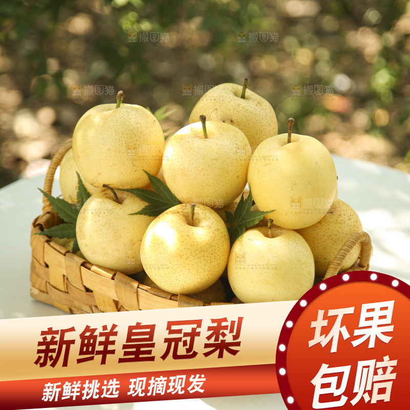 手里拿着新鲜皇冠梨
