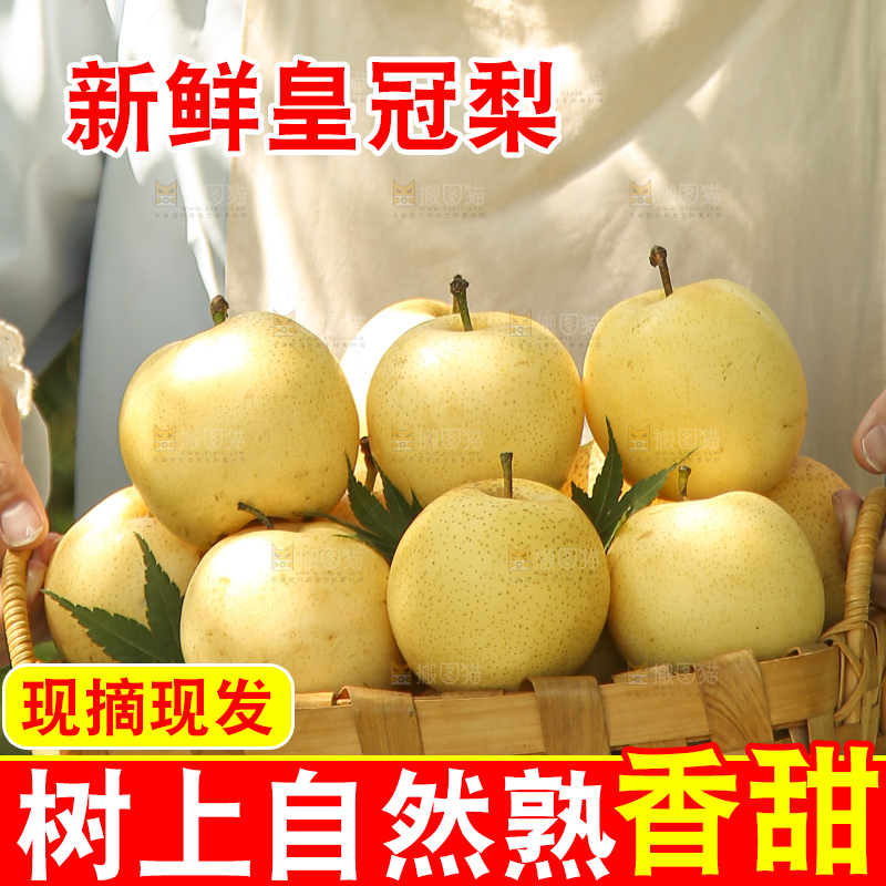手里拿着新鲜皇冠梨