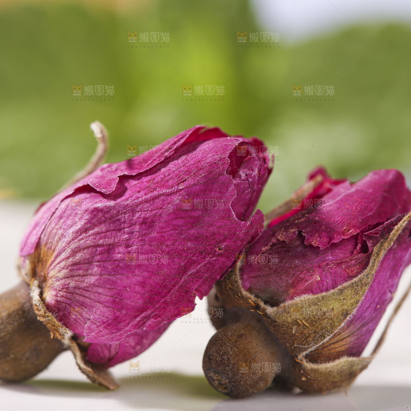 浅底上的玫瑰花干