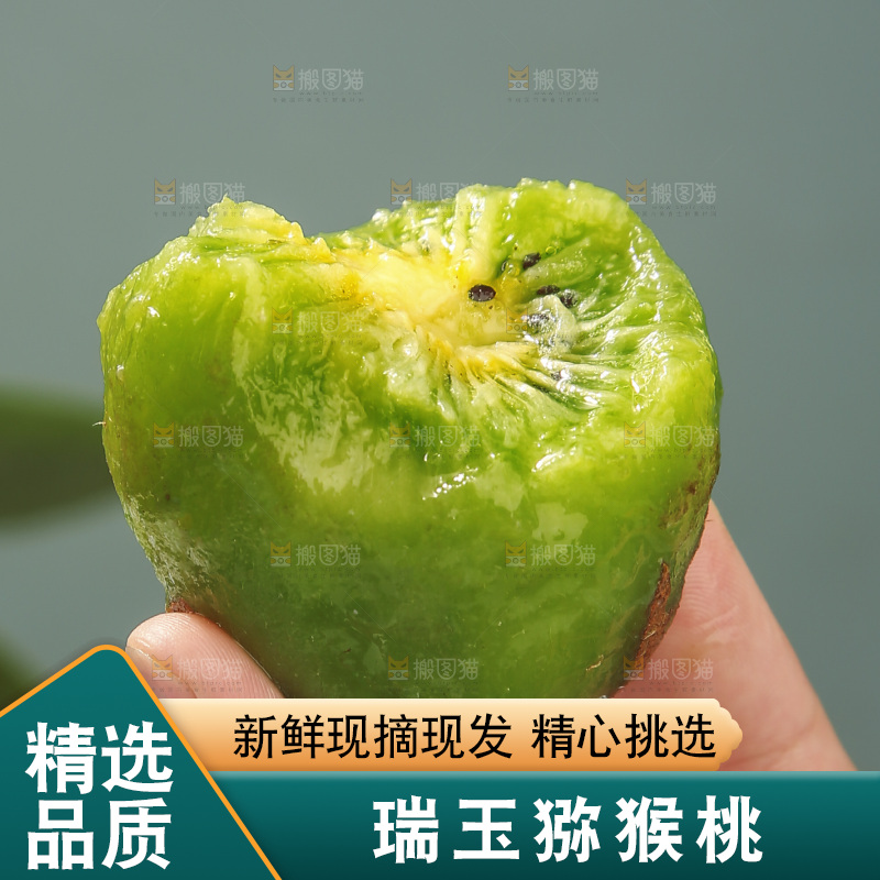 浅底上的瑞玉猕猴桃