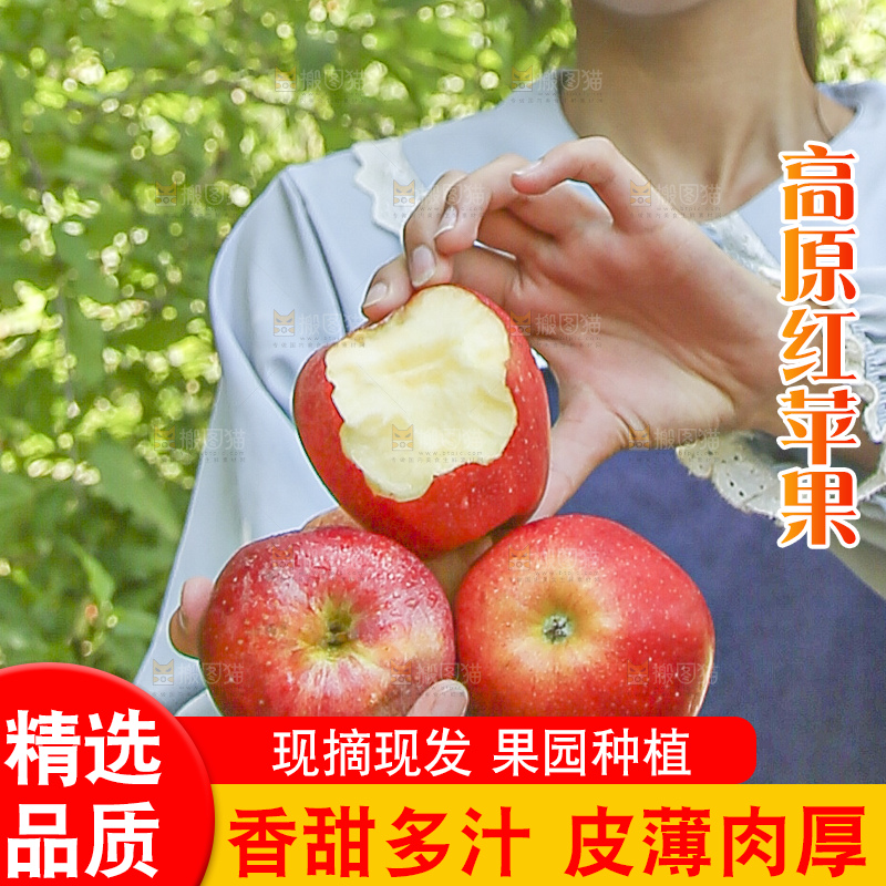 手里拿着高原红苹果