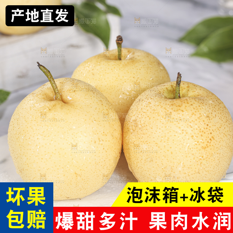 浅底上的皇冠梨