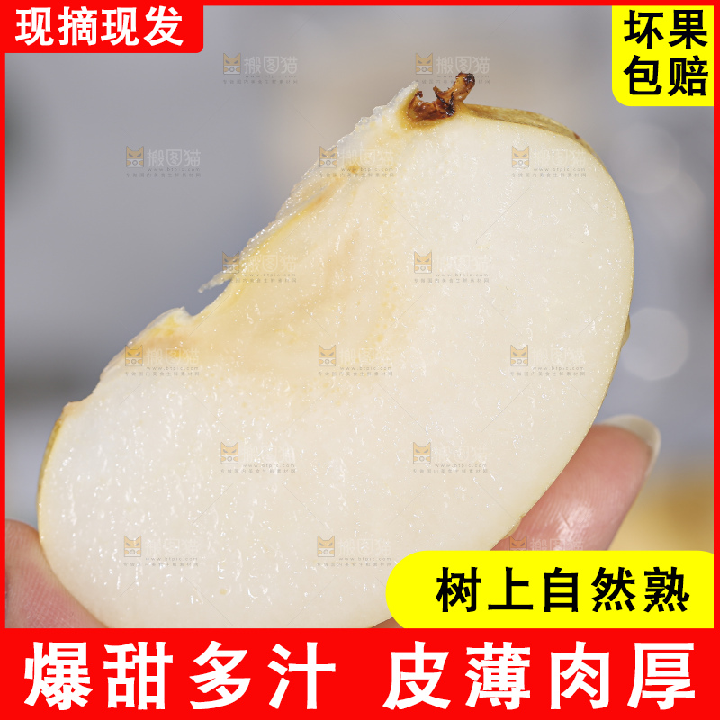 浅底上的皇冠梨