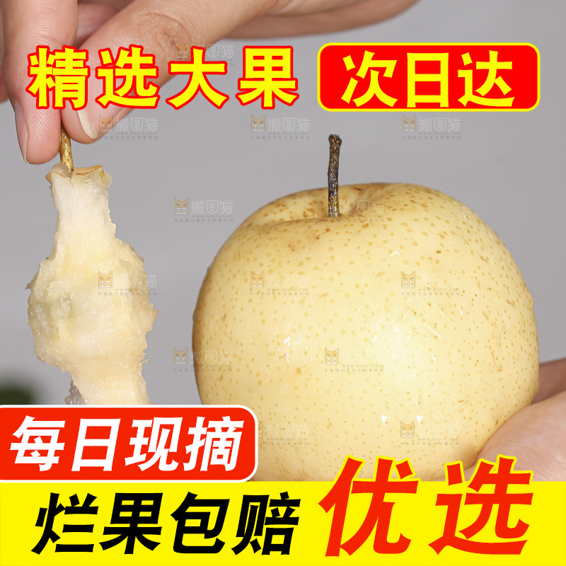 浅底上的皇冠梨