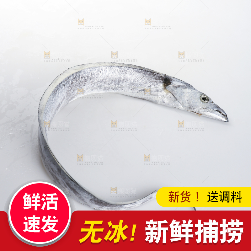 白底上的带鱼