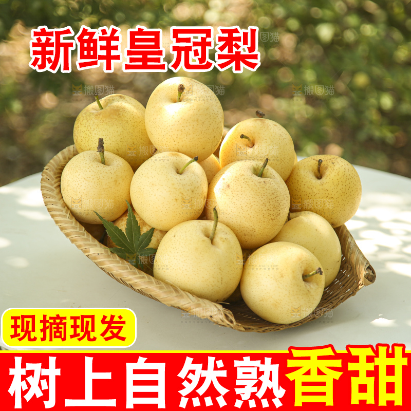 手里拿着新鲜皇冠梨