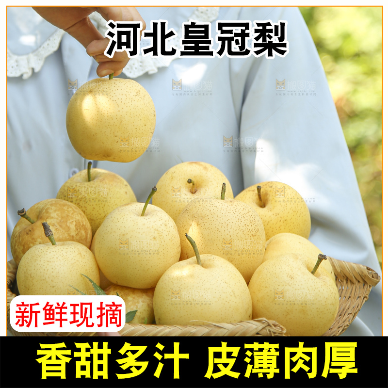 手里拿着新鲜皇冠梨