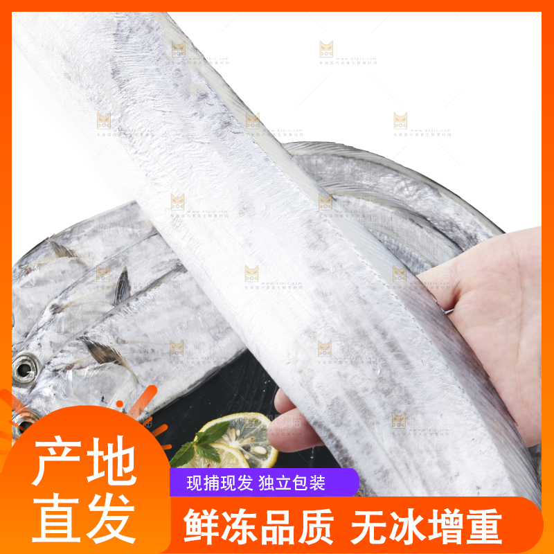 白底上的带鱼