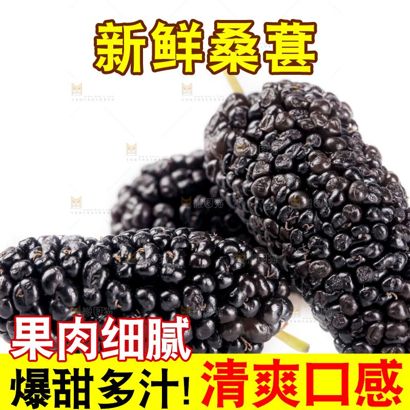 白底上的桑葚