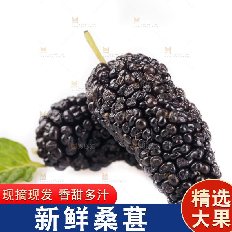 白底上的桑葚