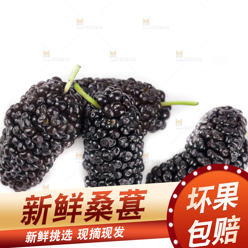 白底上的桑葚