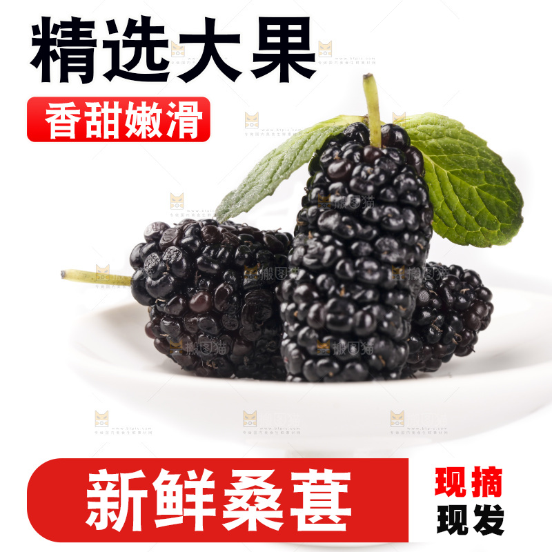 白底上的桑葚