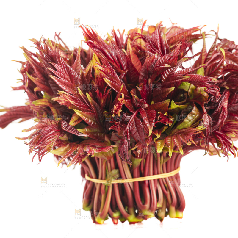白底上放着红芽香椿