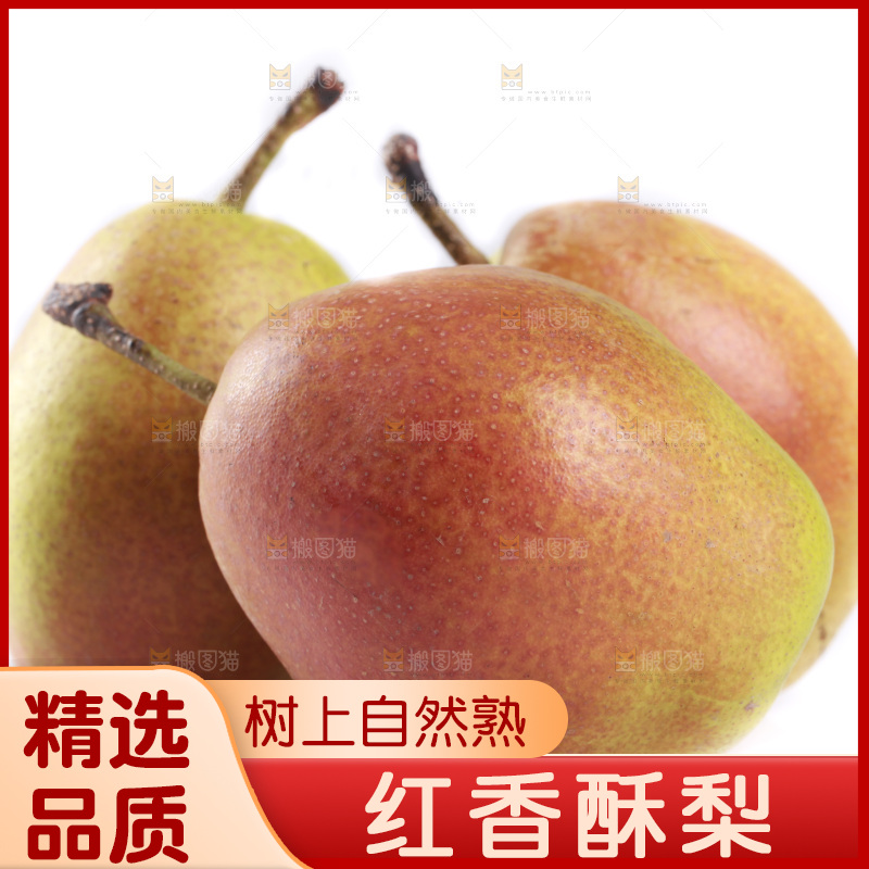 白底上的红香酥梨