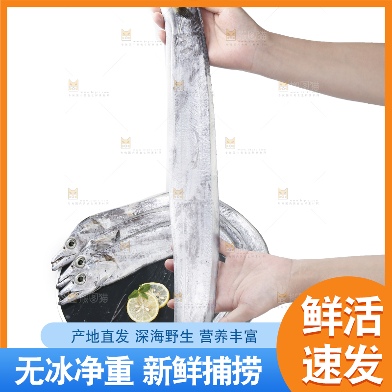 白底上的带鱼