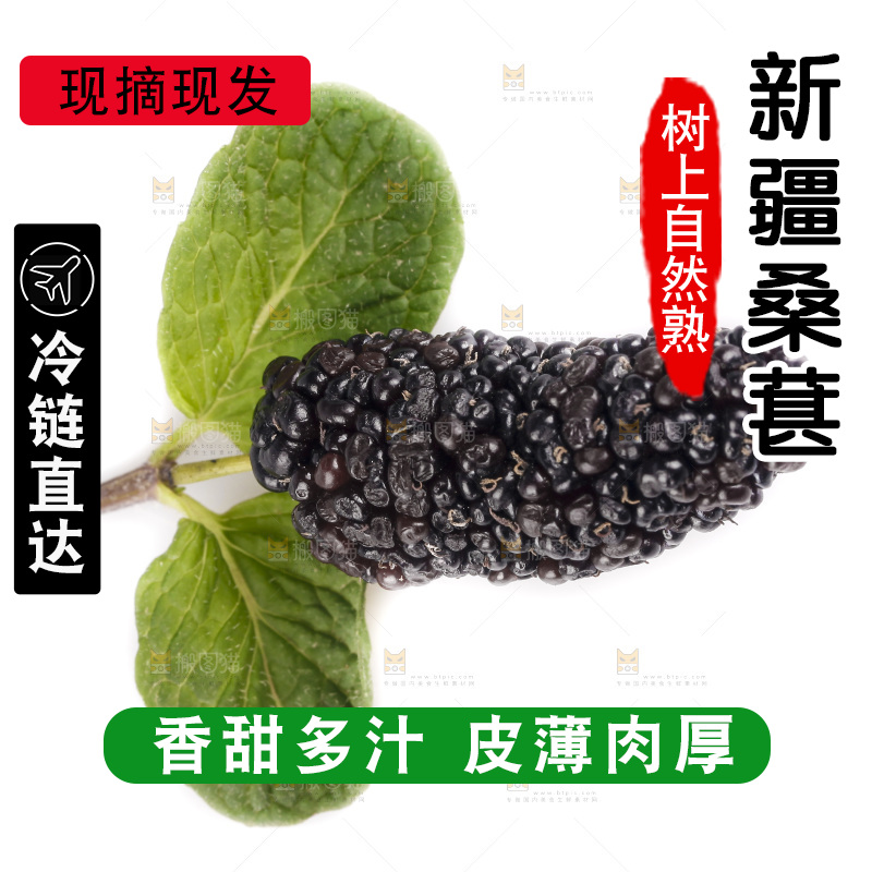 白底上的桑葚