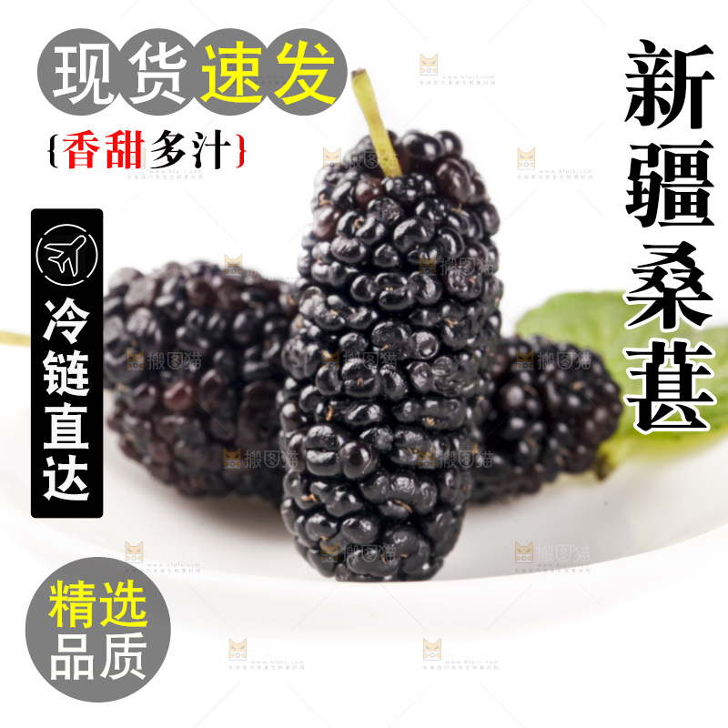 白底上的桑葚