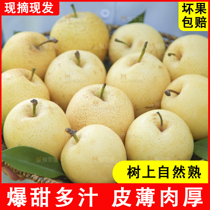 手里拿着新鲜皇冠梨