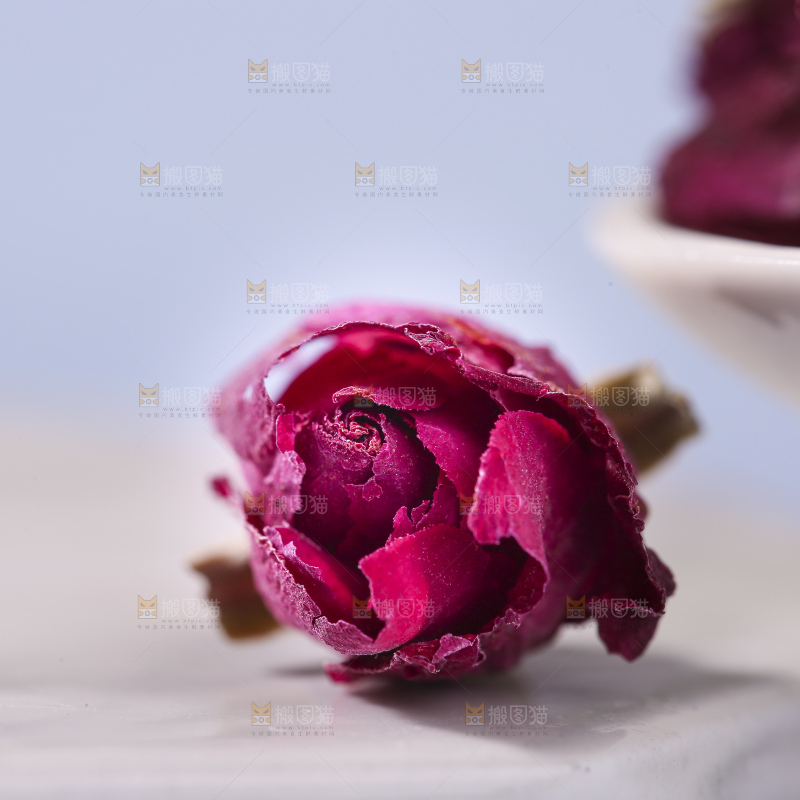 浅底上的玫瑰花干