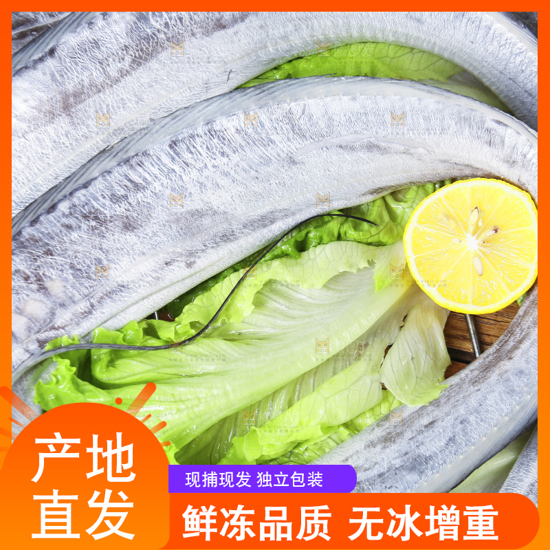 深底新鲜带鱼