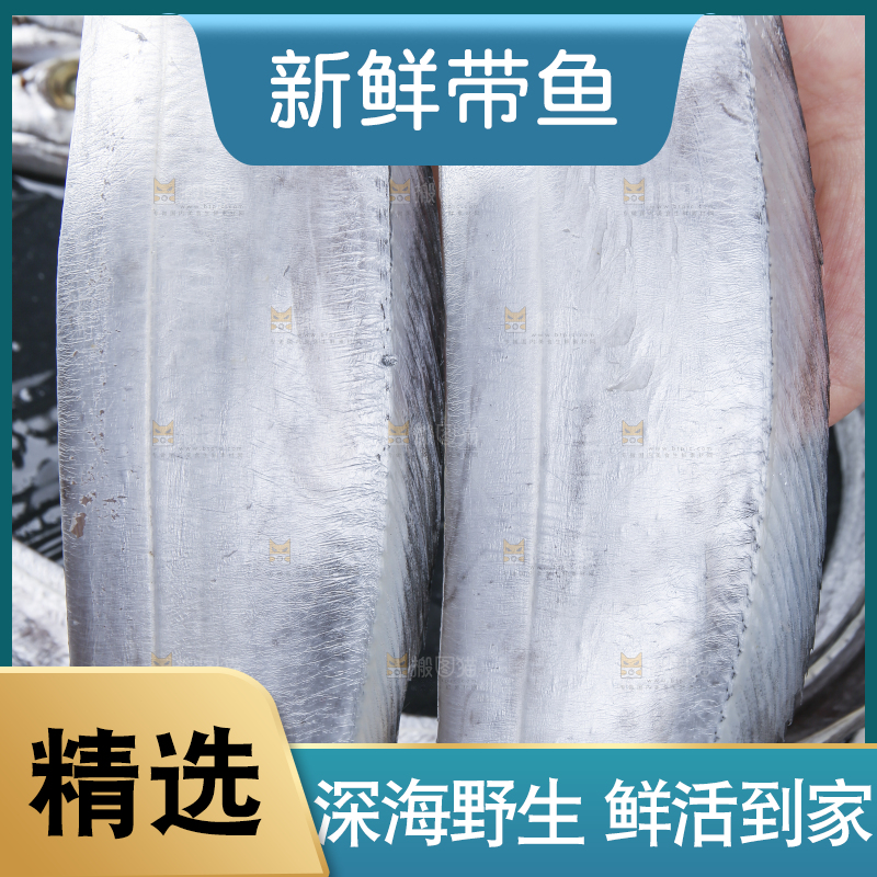白底上的带鱼