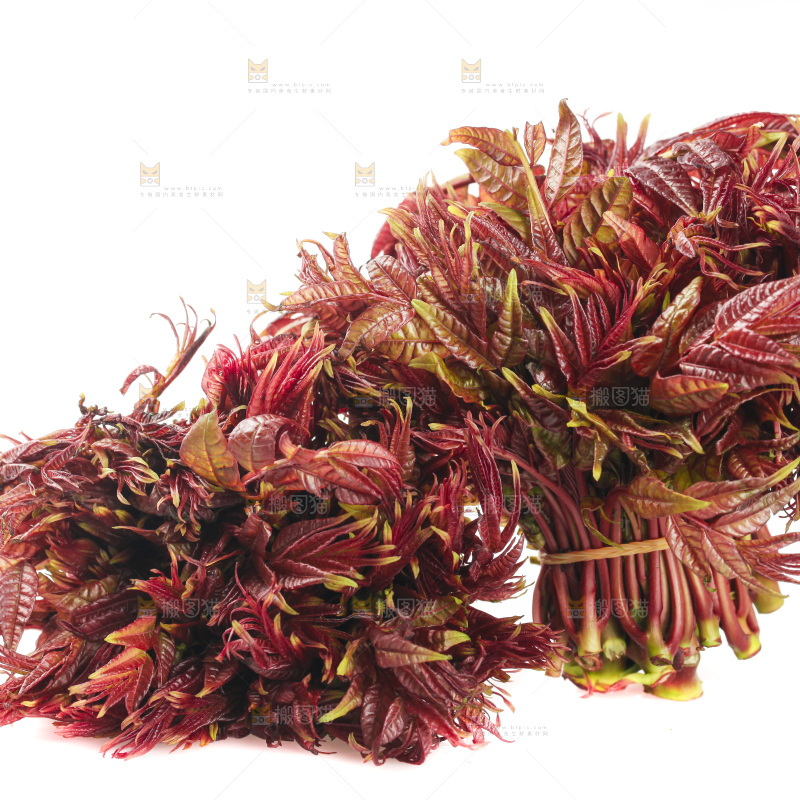 白底上放着红芽香椿