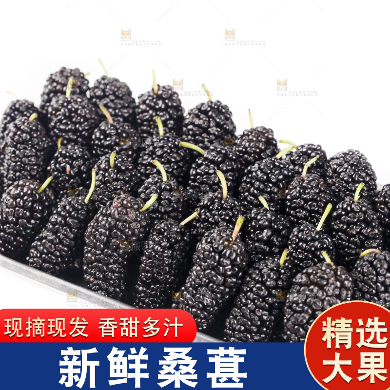 白底上的桑葚