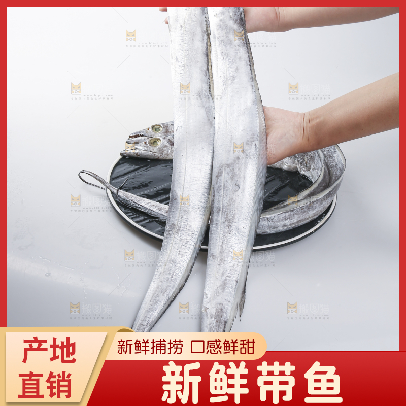 白底上的带鱼