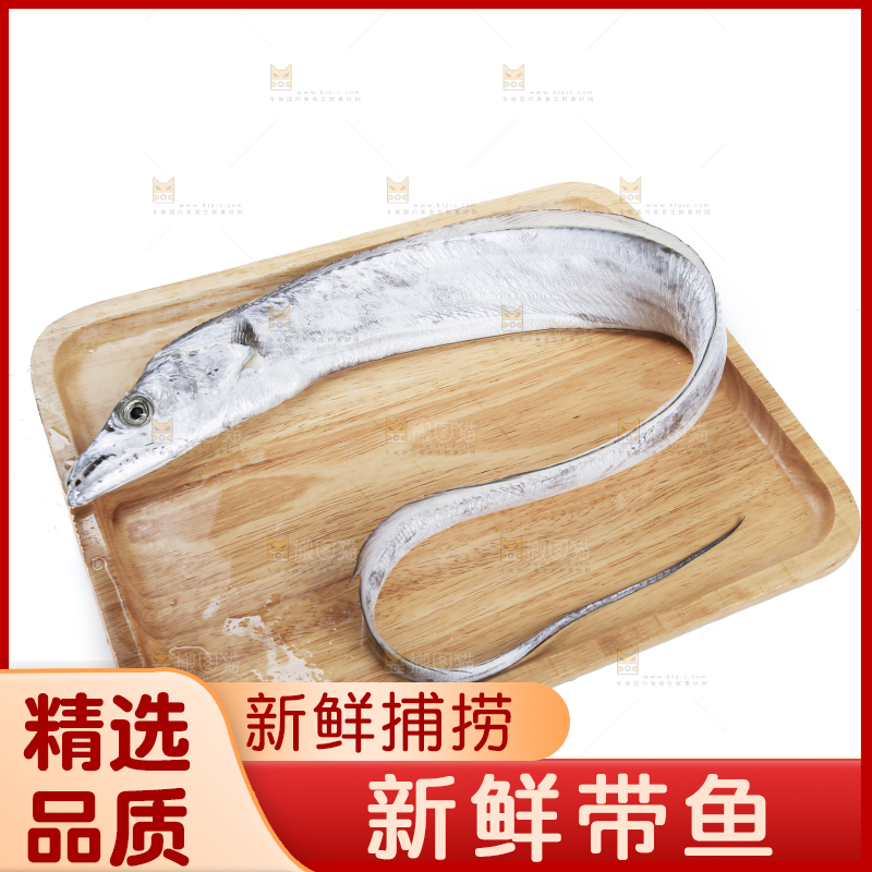 白底上的带鱼