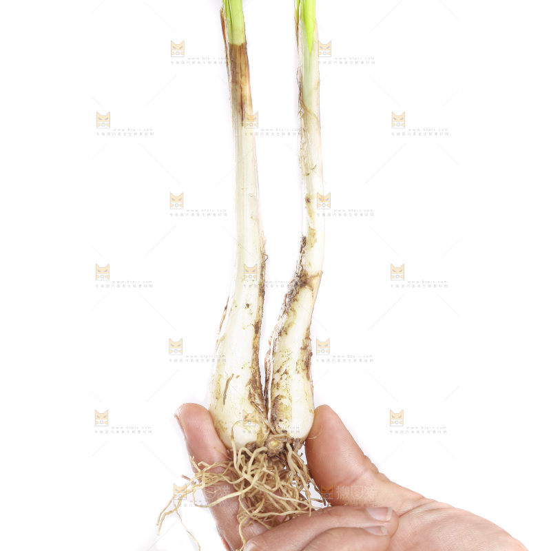 白底上放着小葱