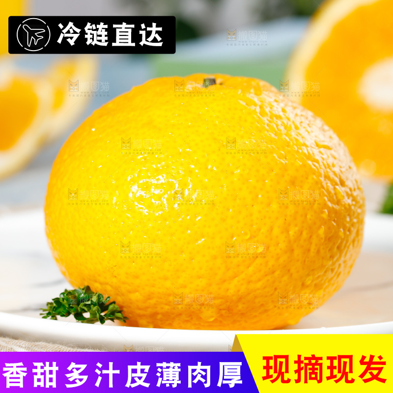 浅底上的橘柚