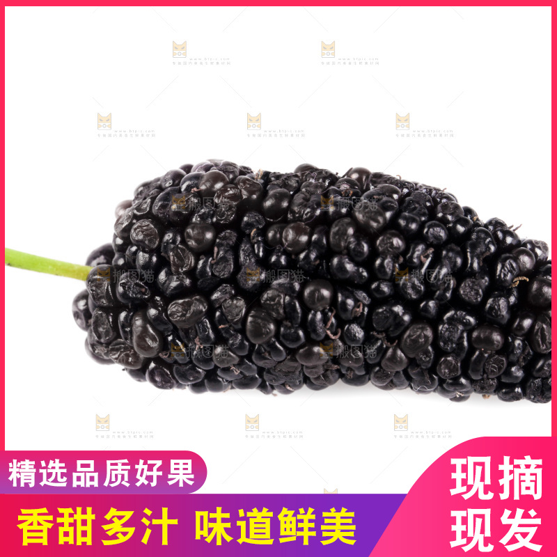白底上的桑葚