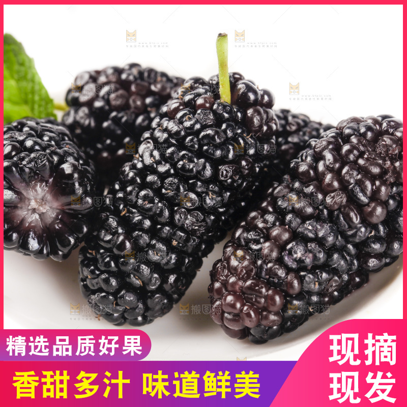 白底上的桑葚