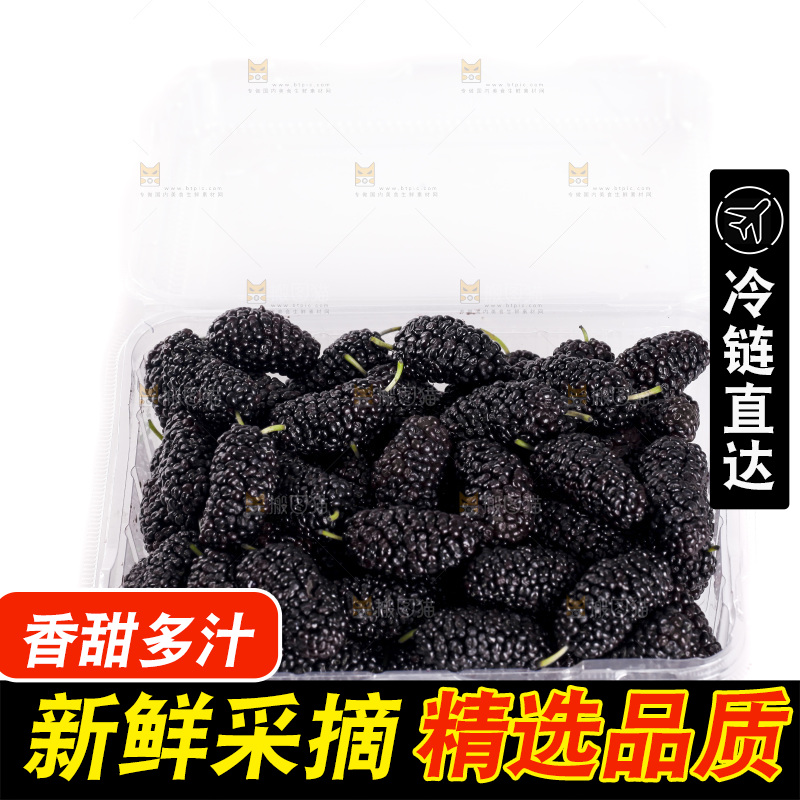 白底上的桑葚