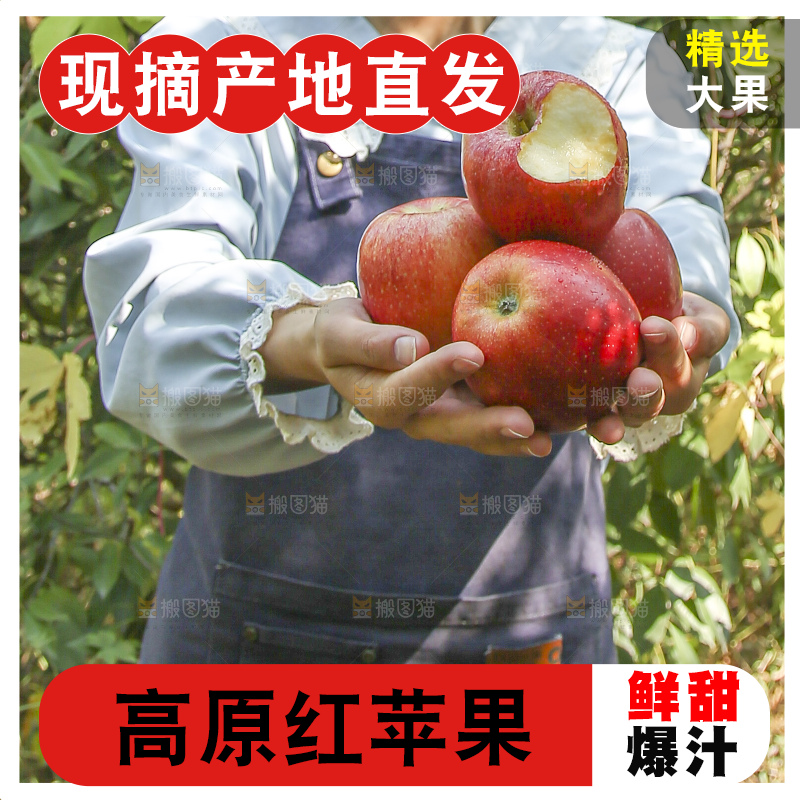 手里拿着高原红苹果