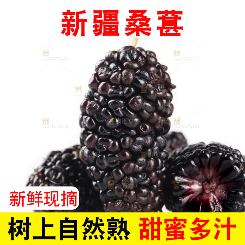 白底上的桑葚